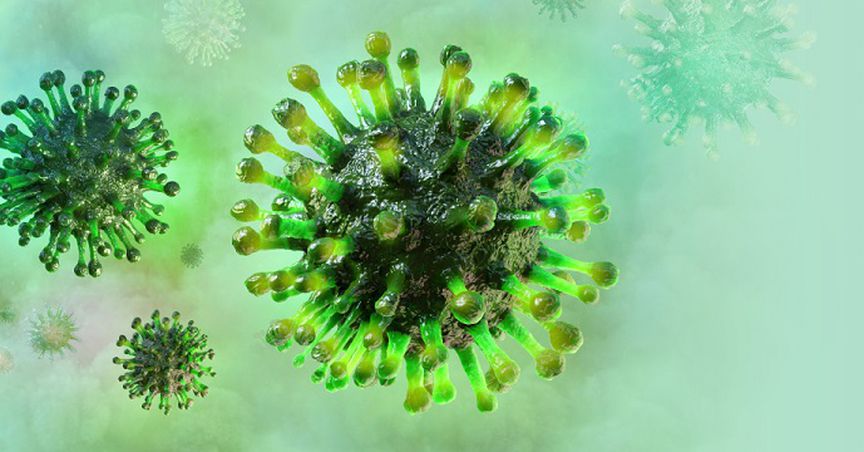  Impact Of Novel Coronavirus And Earnings Of Three LSE Stocks - CARR, CSN & HGM 