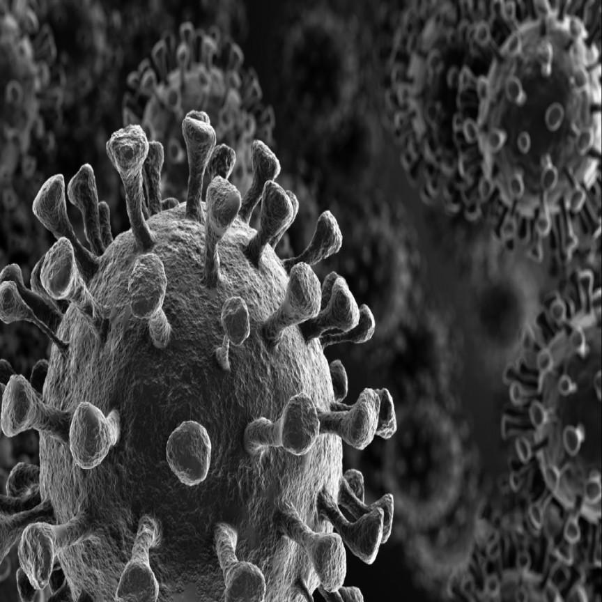  Coronavirus induced Xenophobia and racial discrimination as nativist unglues 