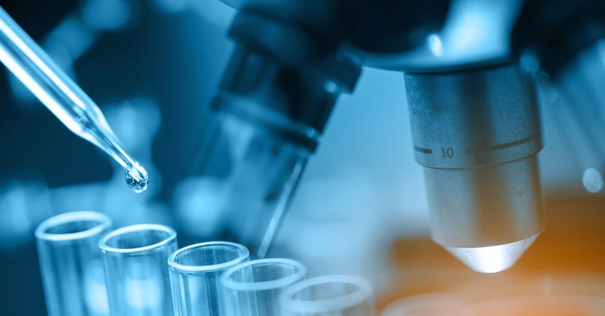 Roche Holdings AG to Launch New Coronavirus Antibody Test Next Month In the UK