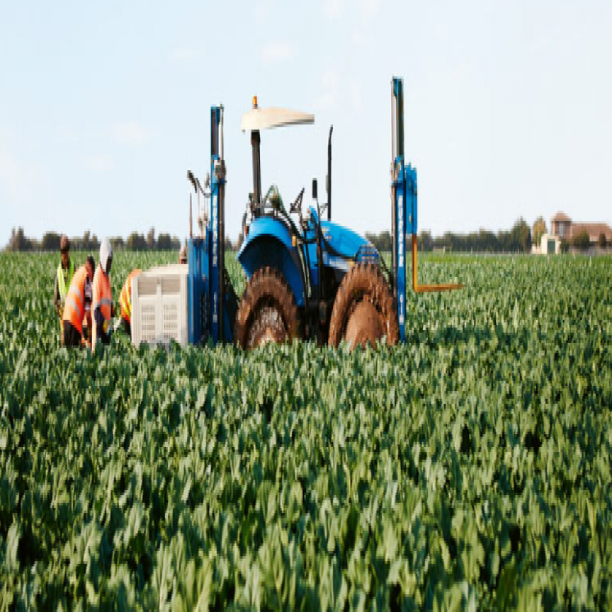 Fresh Select: The Trusted Supplier of Freshest Produce from Australian Soil 