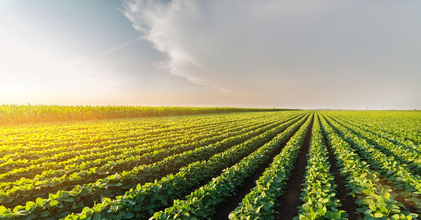 Australia’s Agricultural Industry: A look at WOA, GNC, ELD