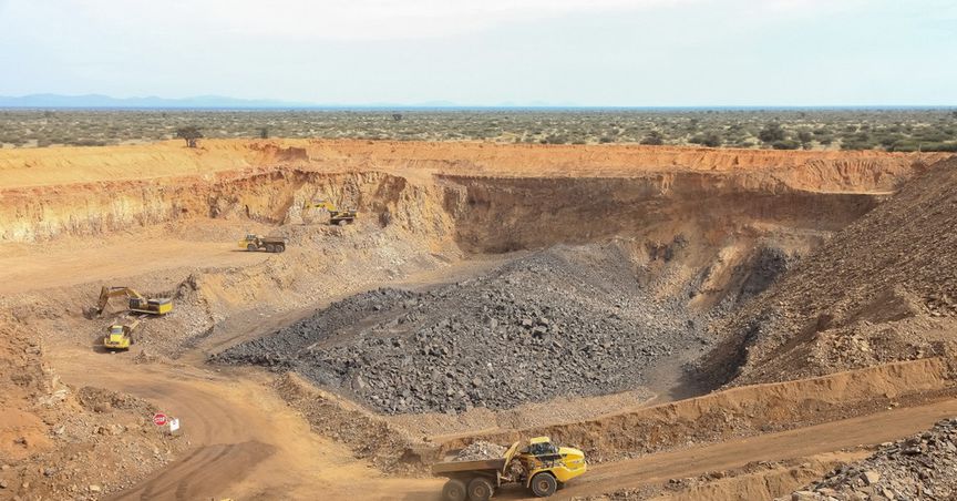  Element 25’ Butcherbird Project: Turbocharged By Early Cashflow From A Low-Capex Concentrate Export Opportunity 