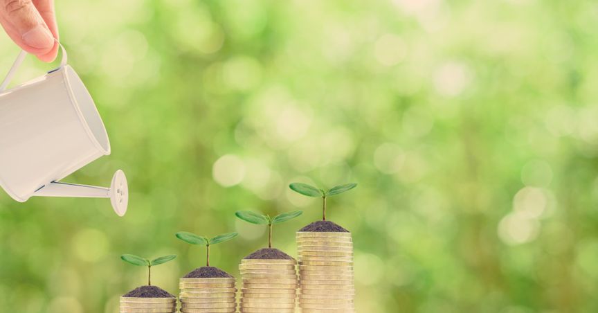Guide to investing in Dividend Stocks
