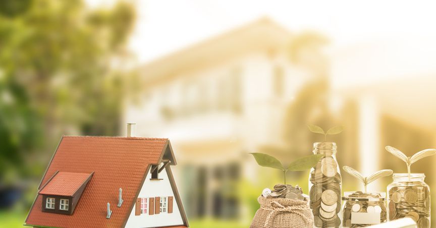 NZ Property Market Scenario: Rags versus Riches 
