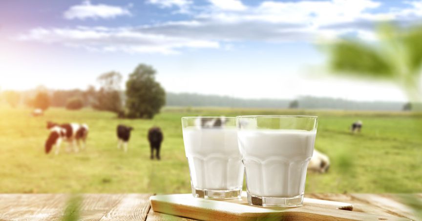  Trends in The UK Dairy Industry After the Outbreak of Covid-19 