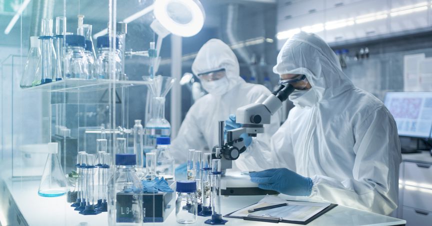  Lens through Stock of Testing Services Provider ALS amidst Dividend Seizure   