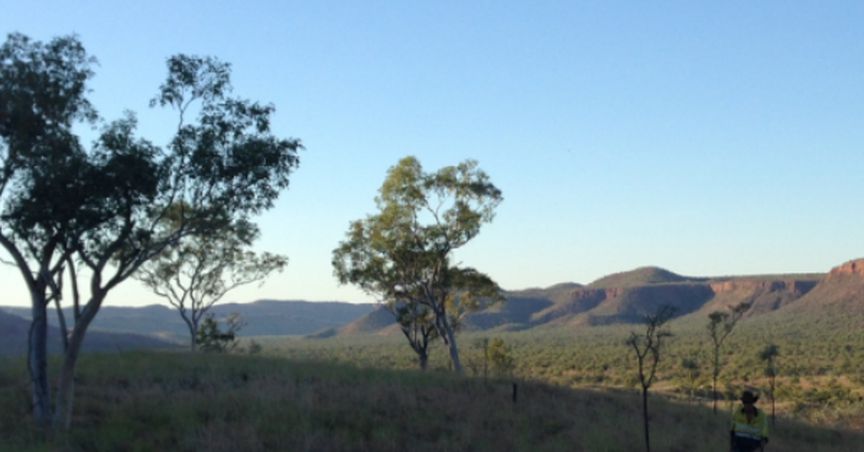  King River Resources Shining with Opportunities Around All Corners 