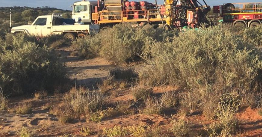  Musgrave’s Exploration Endeavours Hit Bonanza Near Surface Gold at Starlight, Stock Zooms Up 