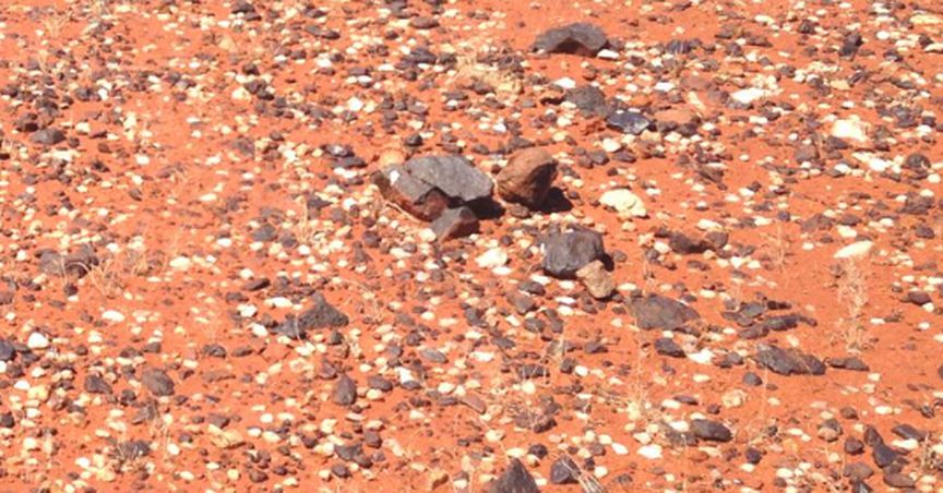  Another Exciting Discovery For Musgrave Minerals: New Gold Lode Identified Within Break Of Day 