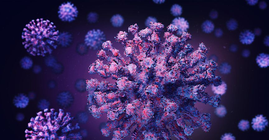  Bulls Shiver Once Again with Another Wave of COVID-19 infection? 