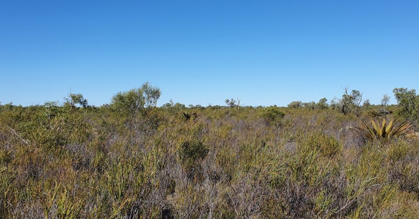  VRX Silica Declares Sale of Biranup Project to New Energy Metals to Focus on Silica Sand Projects 