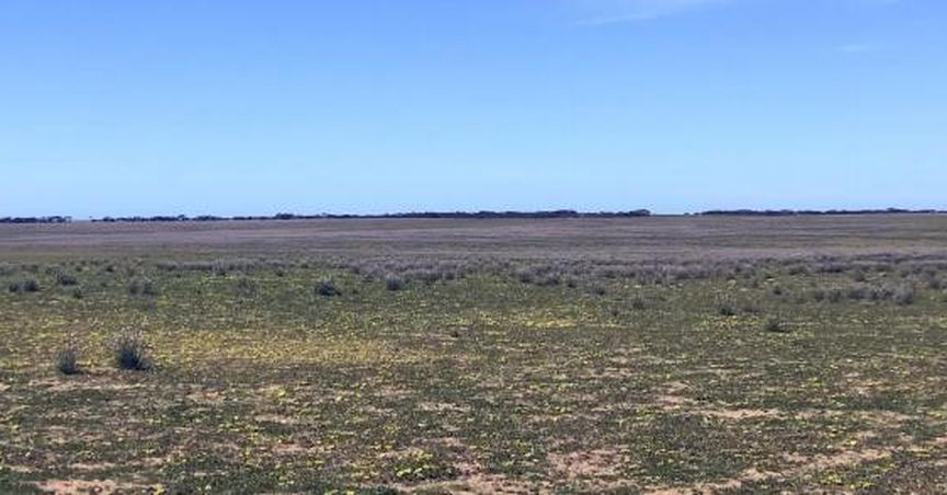  Renascor’s PSG Processing Operation Provides Path to Capitalise on World-Class Siviour Graphite Project, Study Indicates 