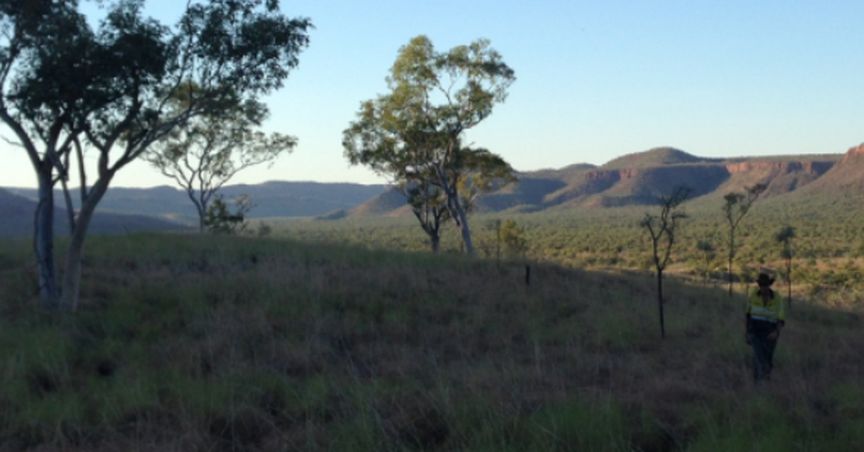  King River Resources Impressively Gliding through High Tide of Gold Prospects 