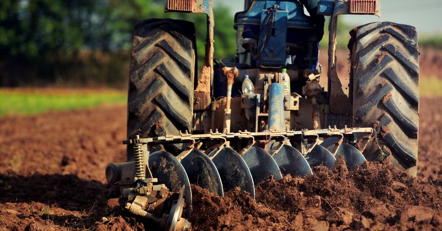  Farming and Food: NZ setting up a billion-dollar Apple and Pear industry in 2 years 