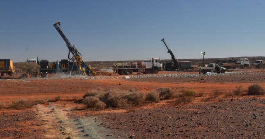  Musgrave Minerals Delivers Excellent High-Grade Gold Results Extending Starlight Gold Mineralisation 