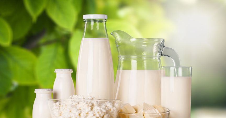  a2 Milk has one problem that most businesses don't mind having- Excess growing cash  