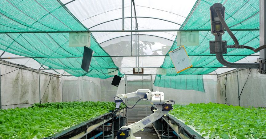  Technology finds another suitor: UAE's hi-tech approach to ensure Food Security 