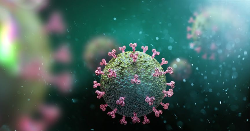  Coronavirus Crisis Raises Debate On Changing Tax Laws For Foreign Tech Companies 