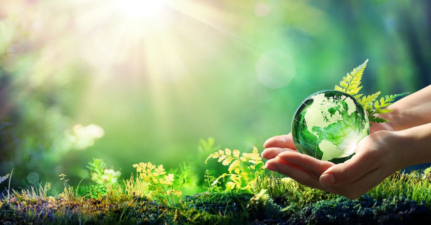 PM Johnson Urge Leaders at UN Climate Roundtable to Rebuild A Greener Planet