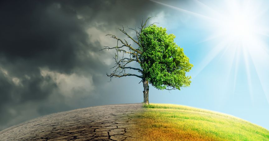  How is climate change impacting the way NZ businesses operate? 