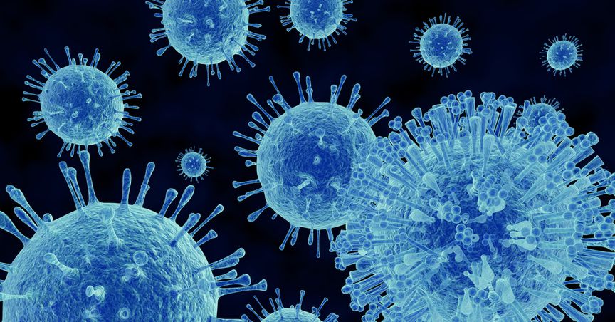  Surge in Norovirus cases in Auckland’s preschools under scrutiny 