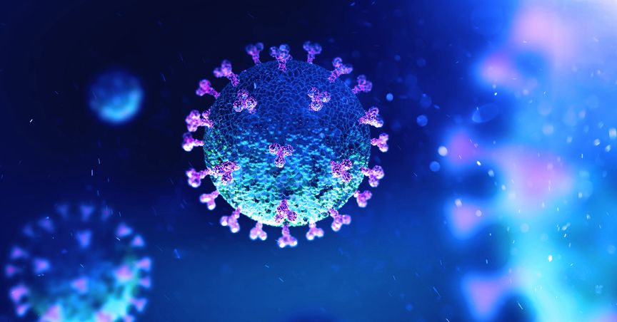  Is Coronavirus Mutation Slower than Seasonal Influenza? 