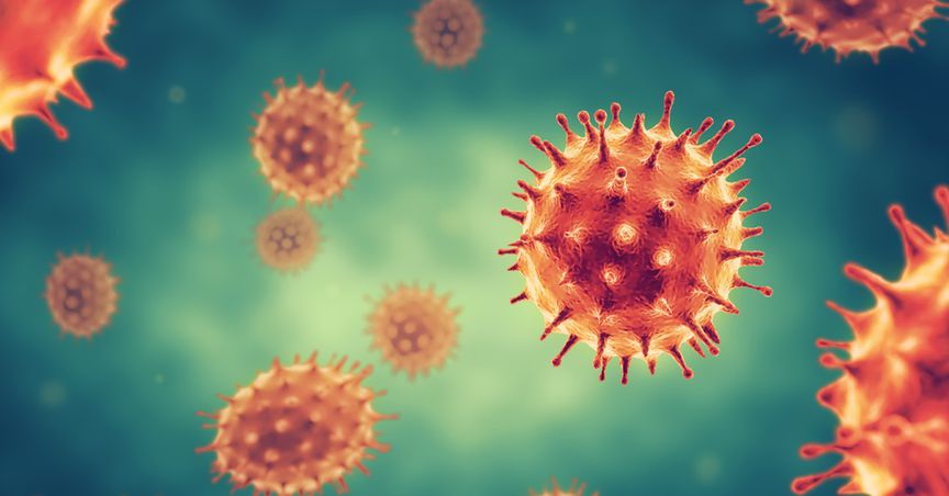  WHO calls for a meeting to discuss new coronavirus variant and its spread 