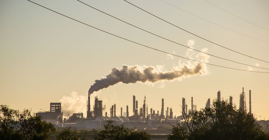  With an eye on clean environment, NZ aims to go green by 2025 