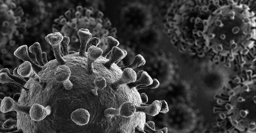  WHO warns coronavirus can become endemic; a wake-up call for 2021? 
