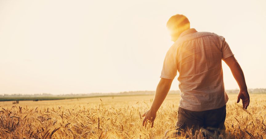  NZ farmers make a splash despite COVID-19 pandemic, eye a blockbuster 2021 