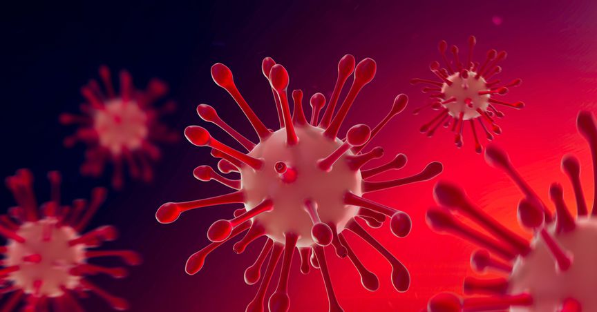 Lockdown 4 in New Zealand looms large after increased number of COVID-19 variant cases 