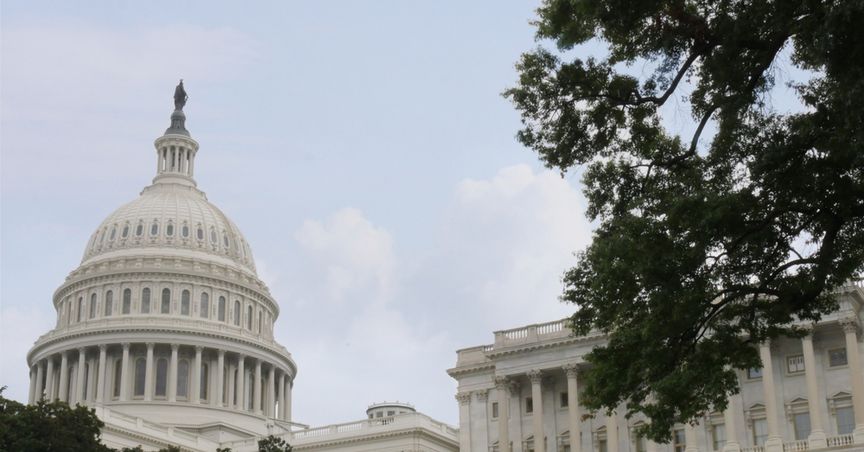  US Congress Upholds Joe Biden’s 2020 Presidential Win, Trump Accepts Defeat 