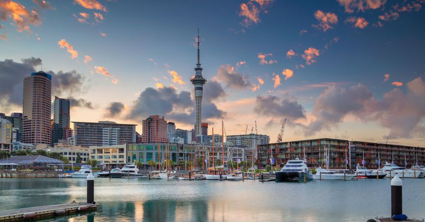  Auckland woman sentenced for selling edible bird’s nests on WeChat 