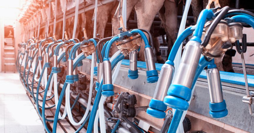  New Zealand’s Waikato Milking Systems spreads its wings into China 