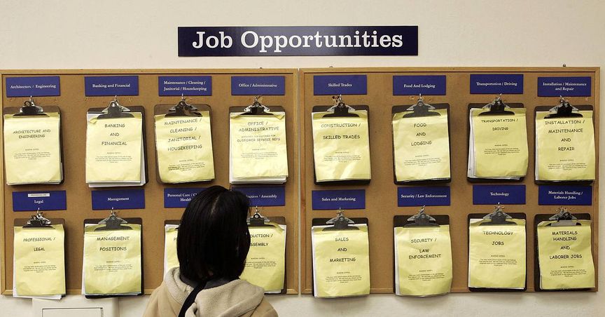 ASX Soars Following Wall Street Rally: US Jobs Data And Fed Rates Opinion
