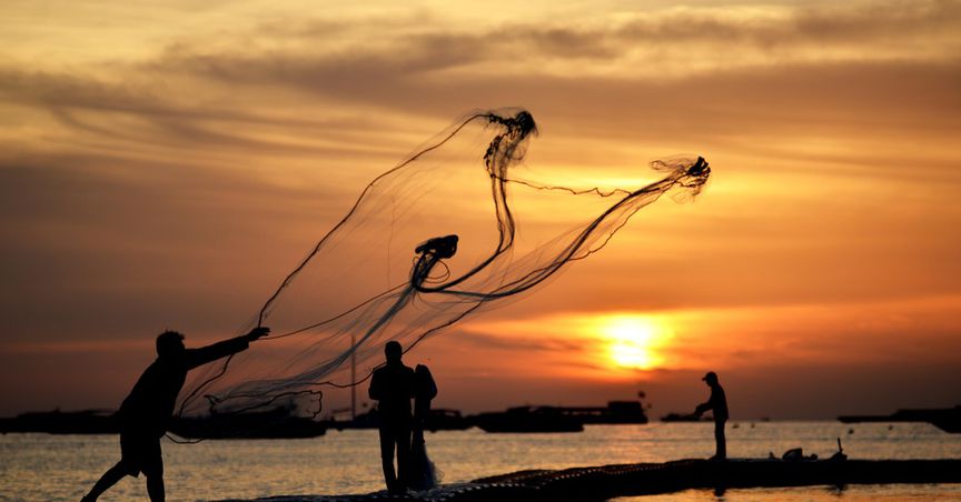 Fishing in troubled waters: Illegal fishing in NZ thrives amid pandemic
