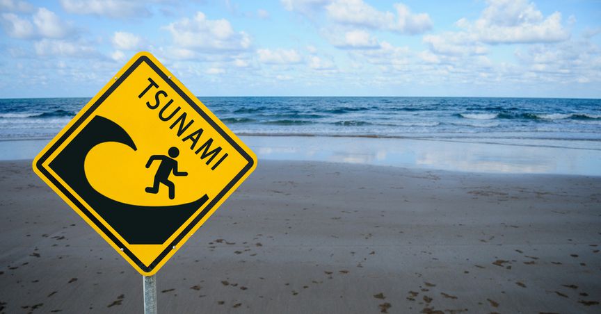  Tsunami alert lifted in NZ, residents asked to return to homes 