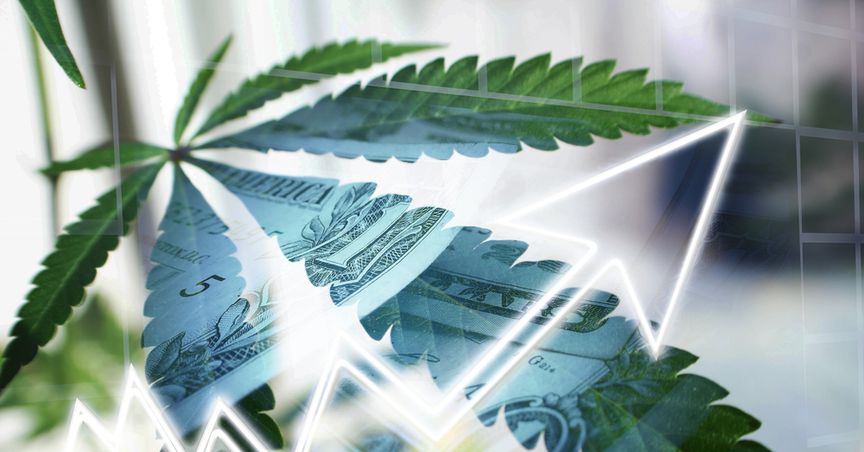  Will these cannabis stocks make a splash in 2021? 