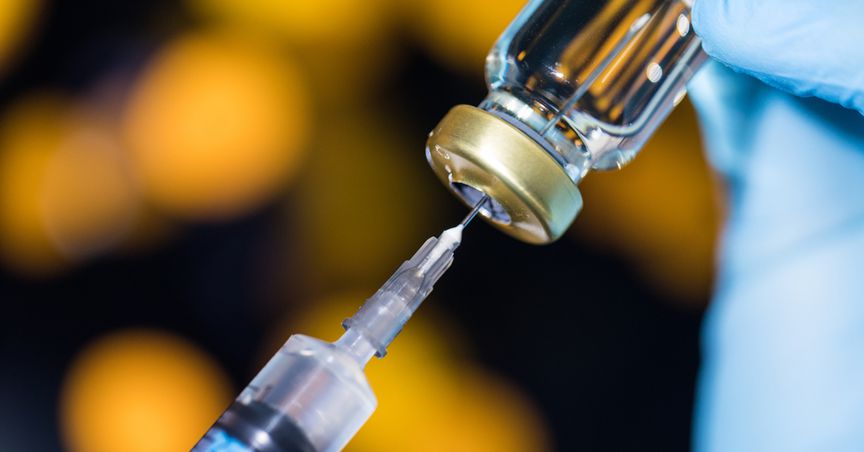  WTO Projects Growth In Global Trade But Vaccination Lag May Pose A Threat 