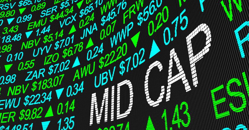  Three Mid-Cap Stocks That Hold Promise For Long-Term Investors 