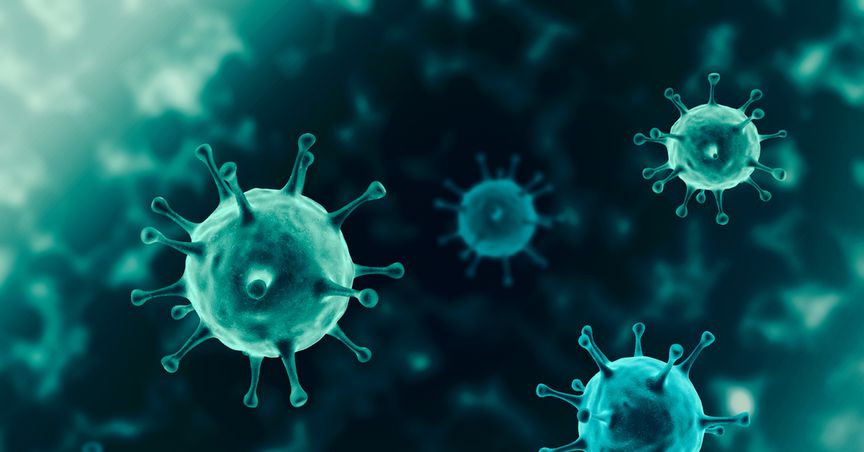  Preparing for future: Global Leaders back treaty to fight potential pandemics 