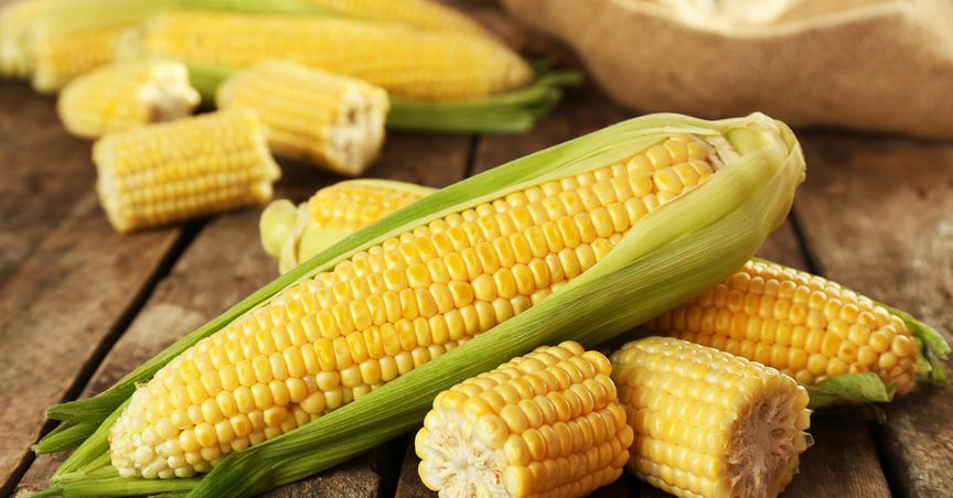  Lower Ending Stocks & Tight Supplies Push Corn Prices Higher   