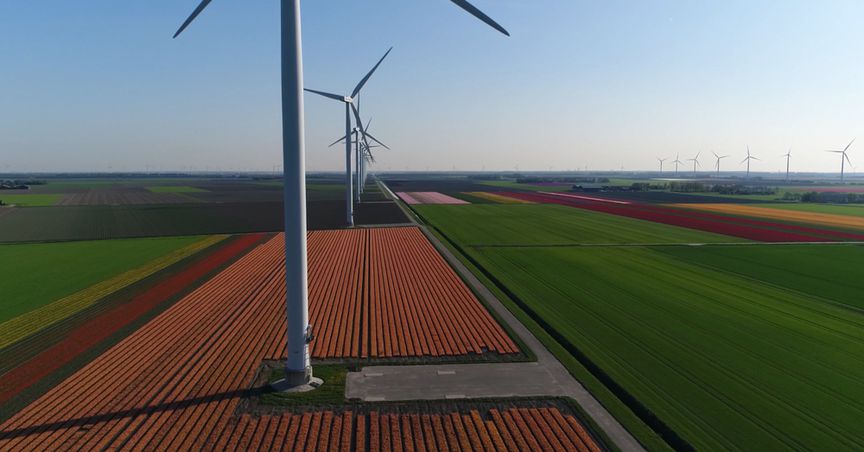  Net Zero Emissions: How UK Companies Are Trying to Achieve the SDGs 