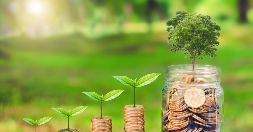  How ESG and sustainable investments are changing investments, businesses  