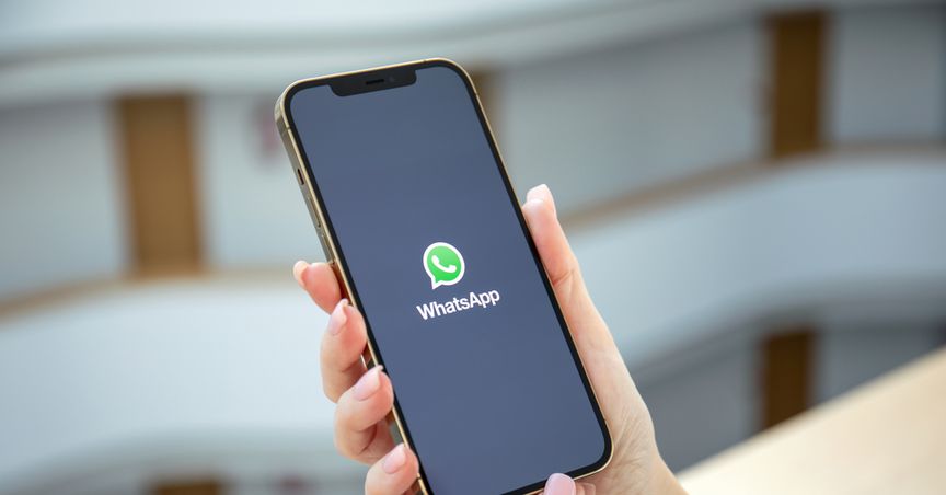 WhatsApp’s New Privacy Policy Goes Live: Here’s What You Can Lose Out If You Don’t Accept the Rules