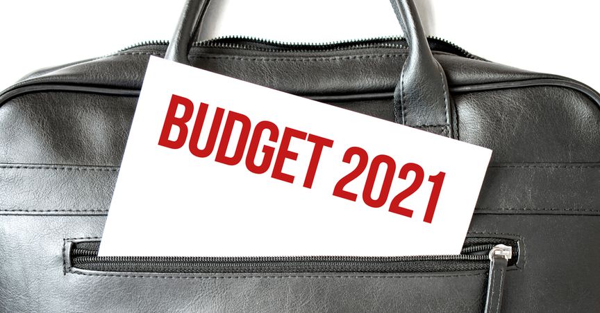  Would New Zealand’s SMEs Gain From Budget 2021? 