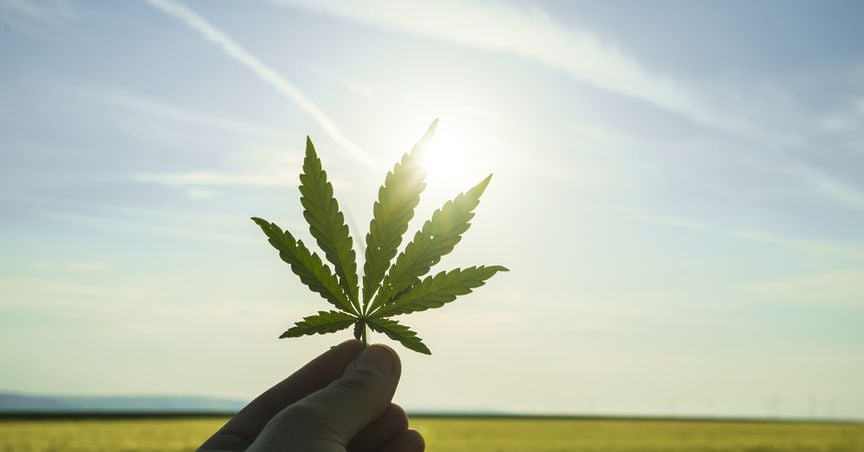  Cannabis-Based Company Bags Carbon Efficiency Certification 