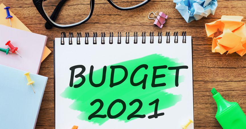  Why Is The Budget 2021 A Crucial One? 