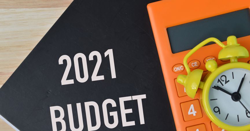What Are The Non-Budgetary Parts Of Kiwi Budget 2021?