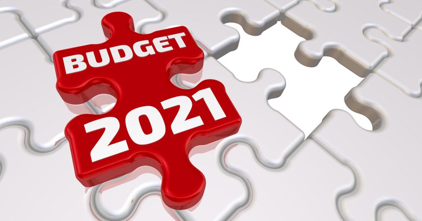  Would Budget 2021 Restore Vigour In New Zealand Property Market? 